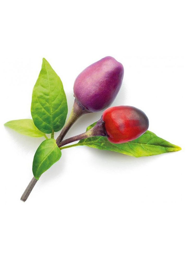 Сменный картридж Перец чили фиолетовый 8745 Click and Grow (316621227)