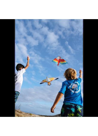 Воздушный Летающий Змей MFK 150 (Сова) от 3 лет Разноцветный ORAO (348117019)