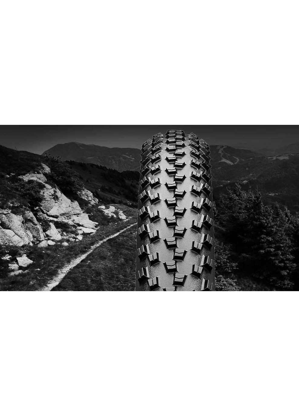 Покришка безкамерна Cross King ShieldWall 29" | 29 x 2.60, складана skin, Чорна Continental (369139871)