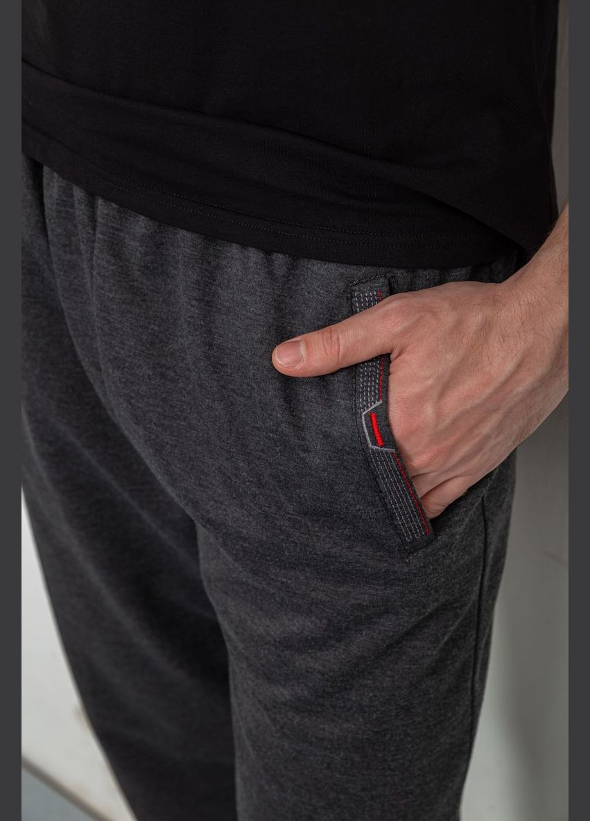 Темно-серые спортивные демисезонные брюки Ager