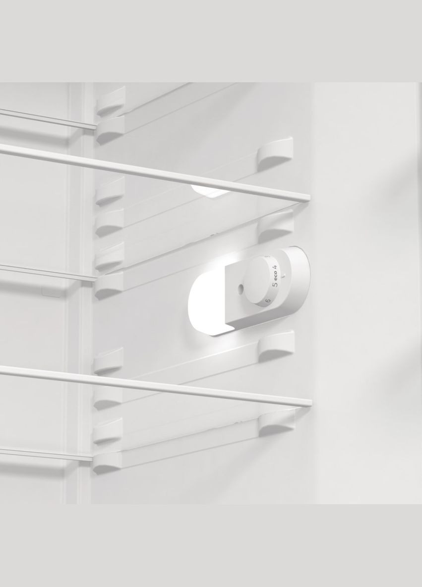 Холодильна камера R619EES5 Gorenje (314834210)