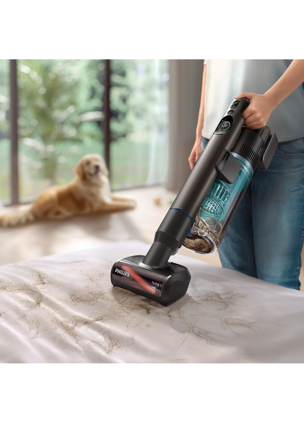 Аккумуляторный пылесос XC8157/01 (7198085) Philips (365748831)