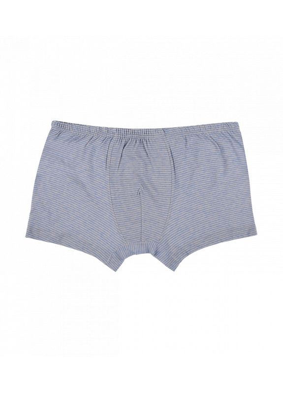 Классические трусы боксеры Donella Шорти (313424841)