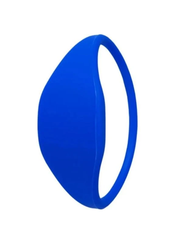 Брелок з чіпом WRB-02MF blue Trinix (399302618)