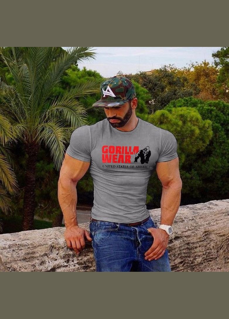 Сіра чоловіча футболка Sport Line