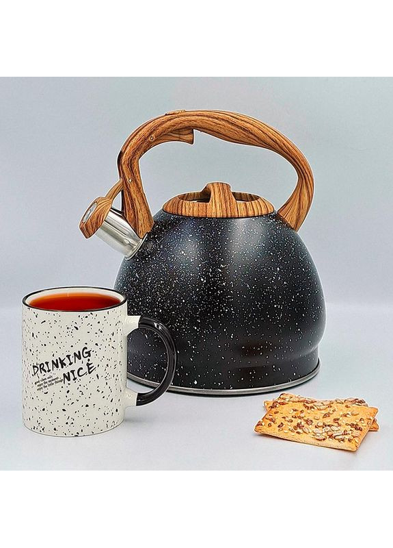 Чайник Пират со свистком GT-1411-30 3 л (126954) Gusto (322909914)