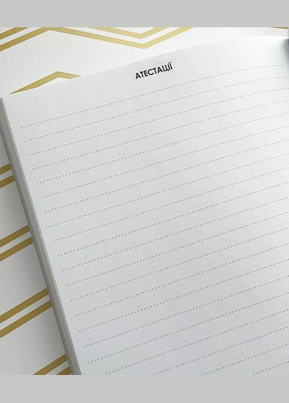 Планер Психолога Фірмовий Figasse 518 (300358784)