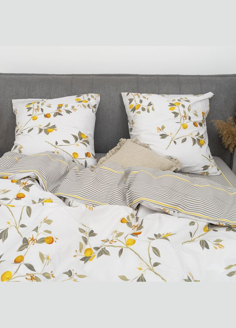 КПБ півтораспальний ранфорс Viluta 24317-pl (308858421)