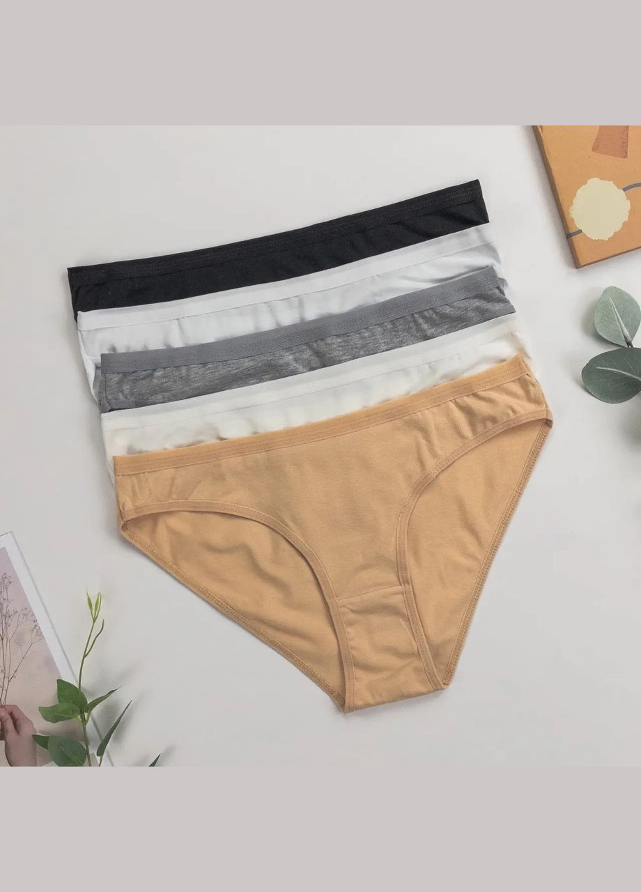 Набір трусиків жіночих сліпи п'ятірки 5 шт Dominant (303724848)