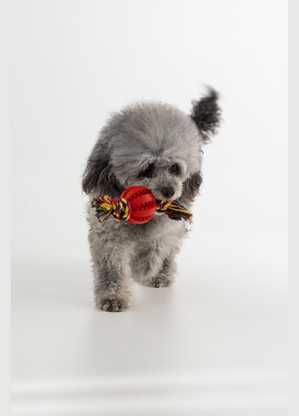 Іграшка мяч з вузлами для тварин KM52648 (2000990382467) shop (2000990382467) KUMAOCHONGWUYONGPIN (365695873)