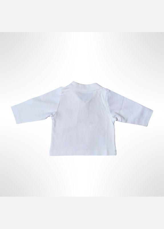 Лайм демісезонний дитячий комплект трійка (вітровка з капюшоном + футболка з довгими рукавами + штани) для хлопчика petito clab No Brand