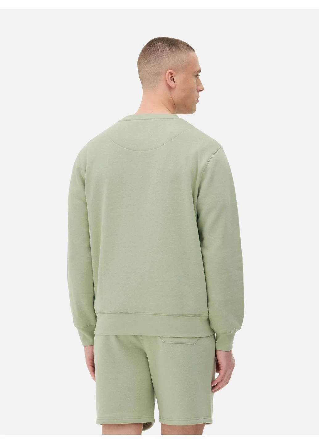 Светло-зеленый свитшот флис,бледно-зеленый, Primark (372126770)
