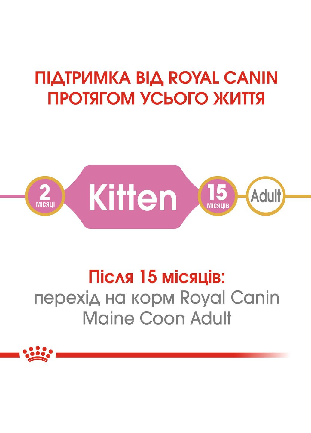 Сухой корм для котят Mainecoon Kitten 2 кг (3182550816502) (2558020) Royal Canin (308752582)