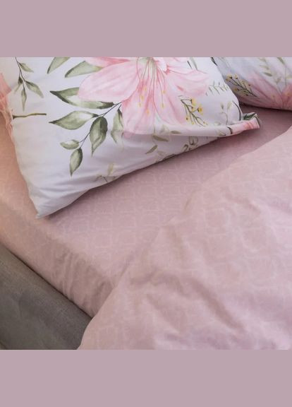 Постельное белье Вилюта ранфорс - 24255 евро. Viluta (293343426)