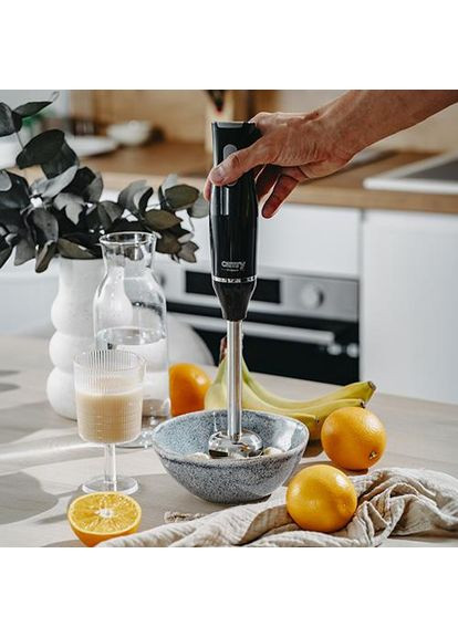 Блендер Camry CR 4630 No Brand (365269027)