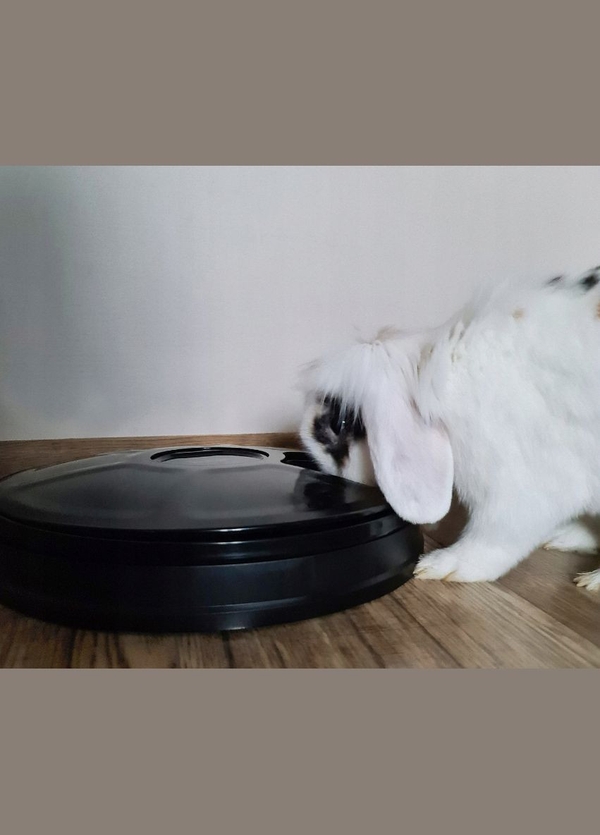 Автоматическая кормушка для котов и собак 0,9 л Purlov (340073062)