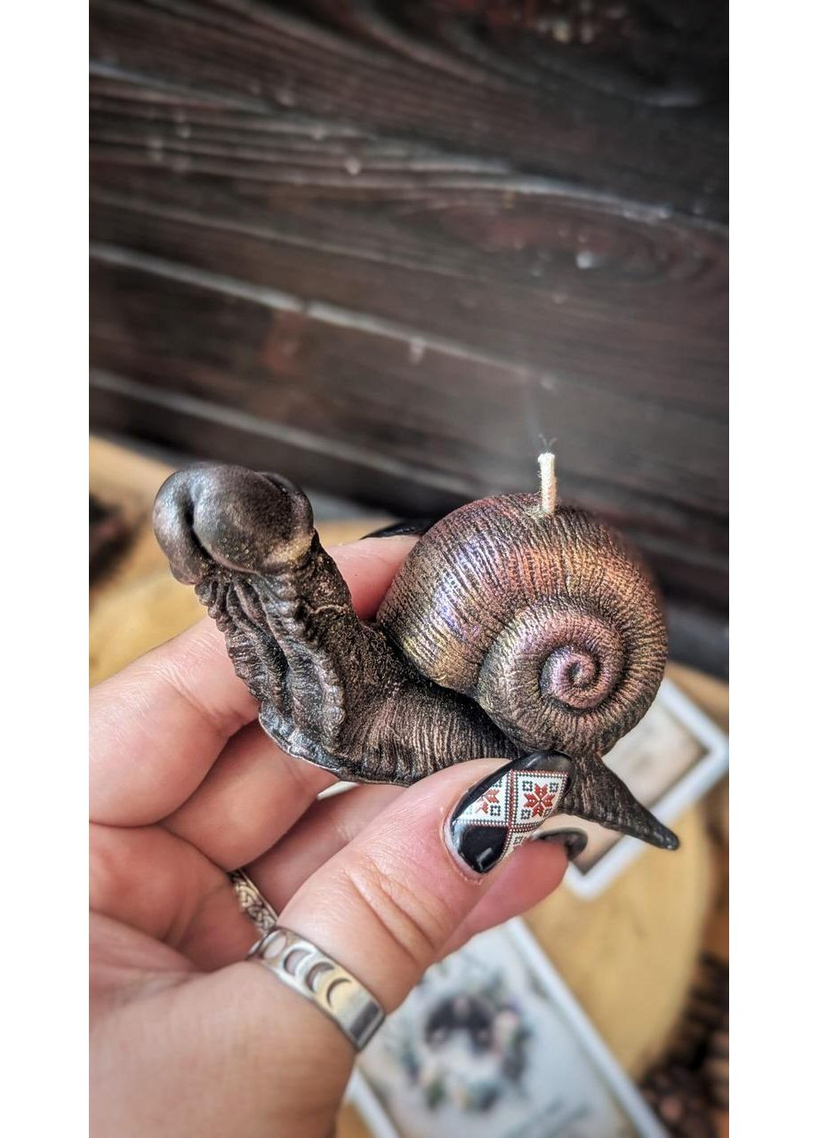 ПрутоУлитка No Brand (352777813)