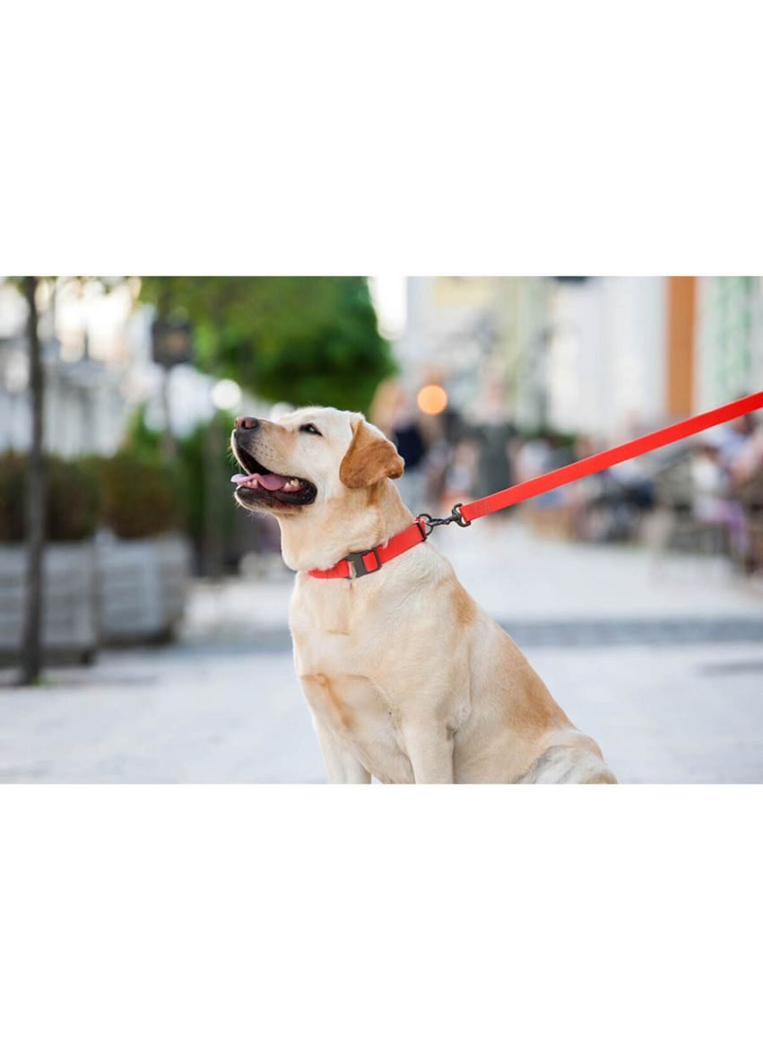 Поводок для собак водостойкий Waterproof, L-XXL, Ш 25 мм, Длинна 183 см красный WAUDOG (322641946)