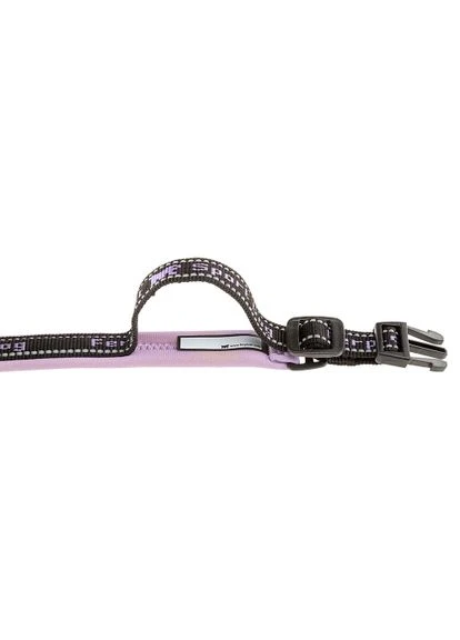 Нашийник для собак Sport Dog C15/35 нейлон фіолетовий 1.5х25-35 см 78003819 Ferplast (269341687)