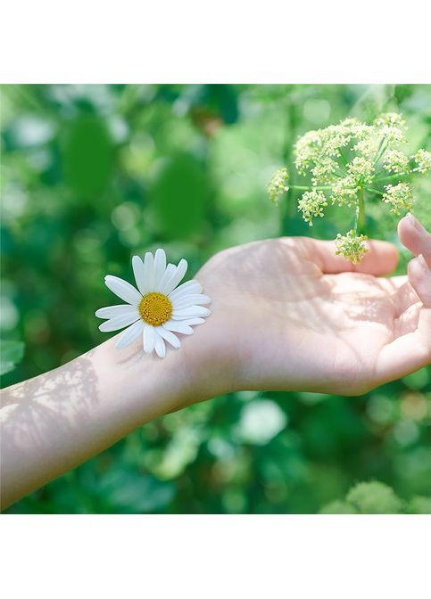 Гігієнічні прокладки (4015400125037) Naturella Ultra Normal 10 шт (268142552)