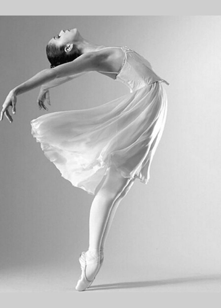 Набор алмазной вышивки "Балерина-3" Чарівний діамант (333710661)