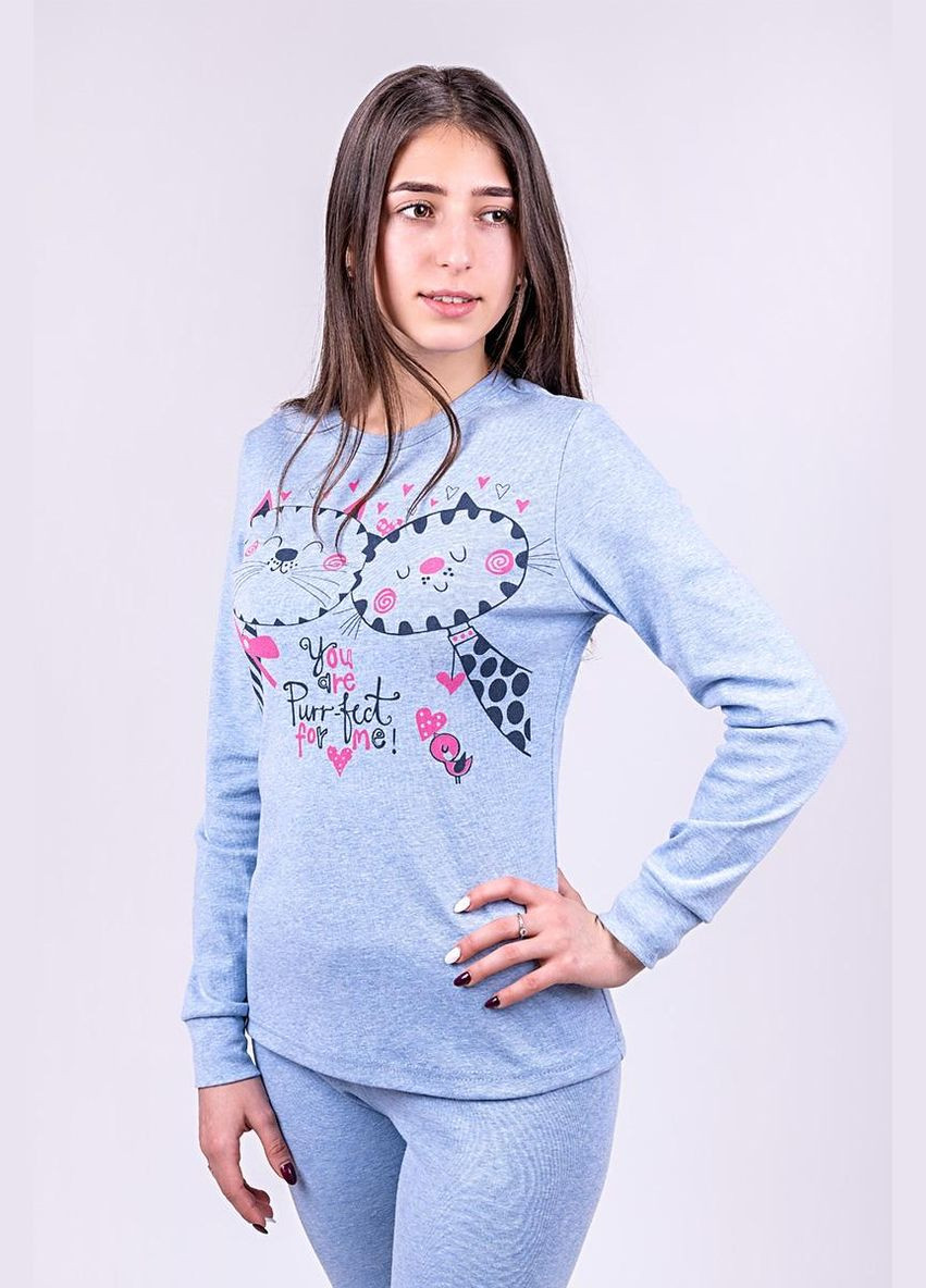 Голубая всесезон женский домашний комплект кошки голубой свитшот + брюки Україна