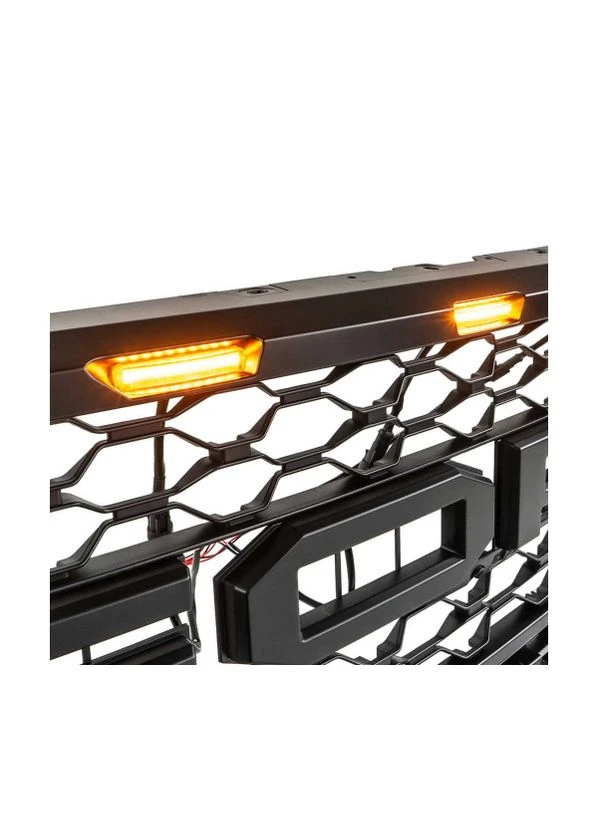 Решетка радиатора Ford F150 (OFF15021GL) No Brand (383357689)