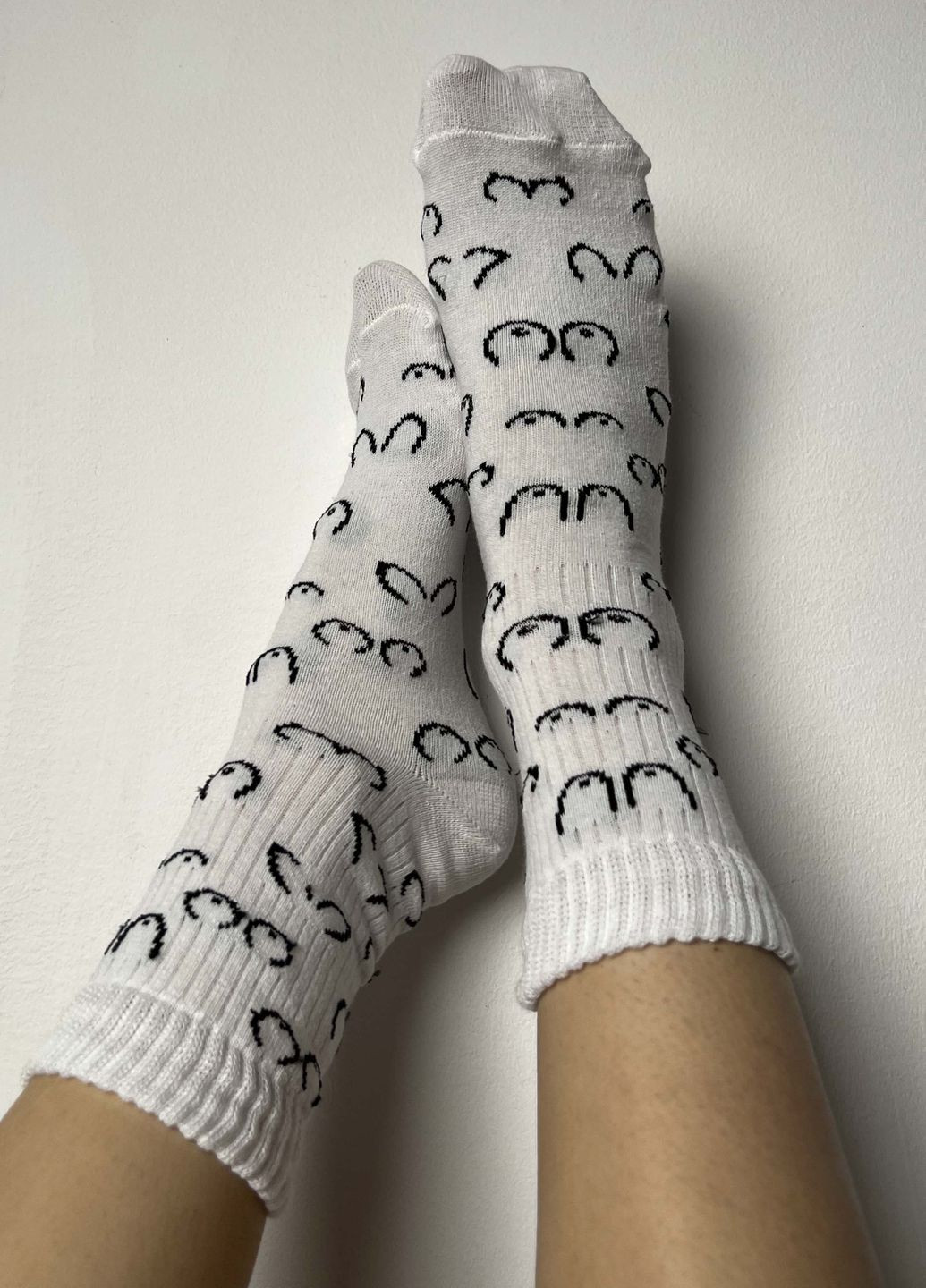 Білі набір 5 шт бавовняних шкарпеток колекції «пакуночок» VIDCHUY малюнки (300192135)