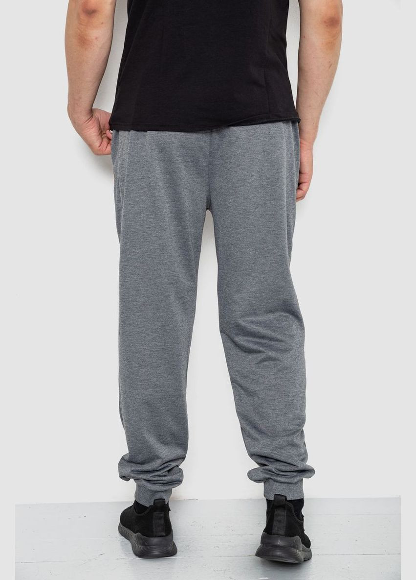 Серые спортивные, кэжуал демисезонные брюки Ager
