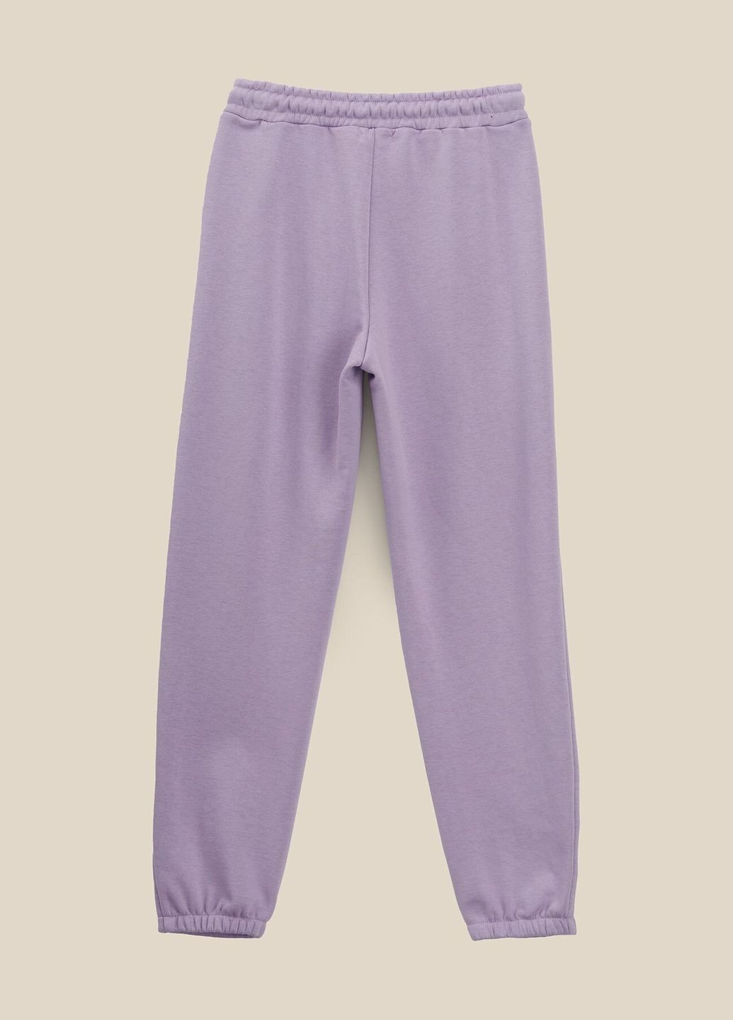 Лавандовые спортивные демисезонные брюки LAWA