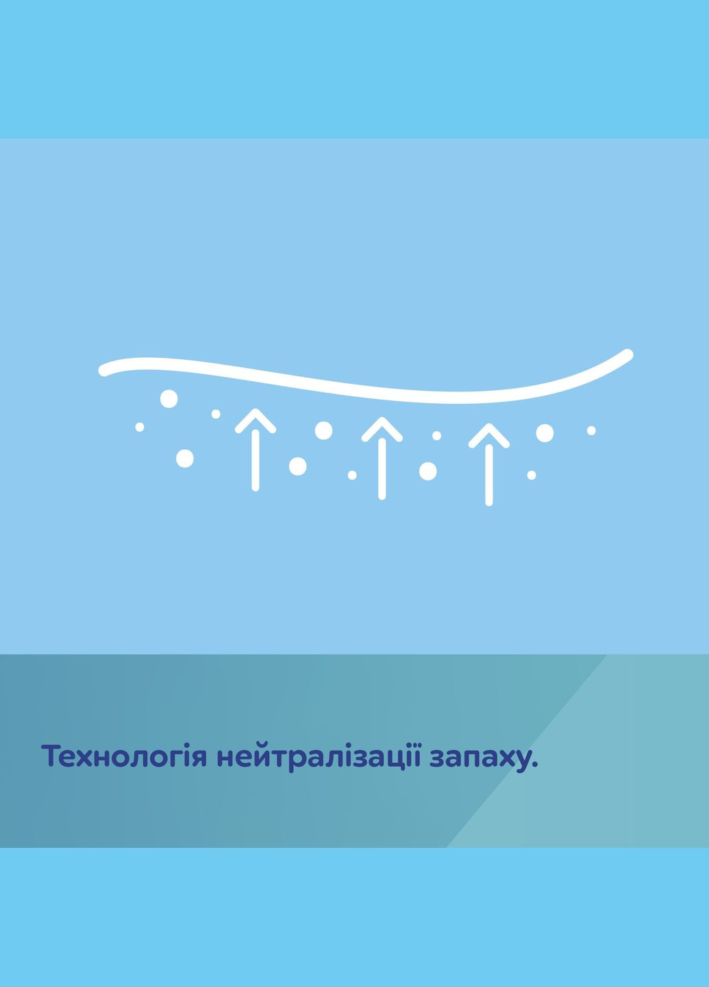Прокладки післяпологові нічні, із крильцями, 8 шт. Canpol Babies 78/008 (328261385)
