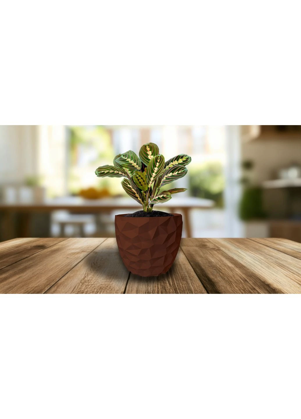 Цветочный горшок 3d, Dunora, круглый 11 x 10 cm, 3D Lux Studio (389599388)