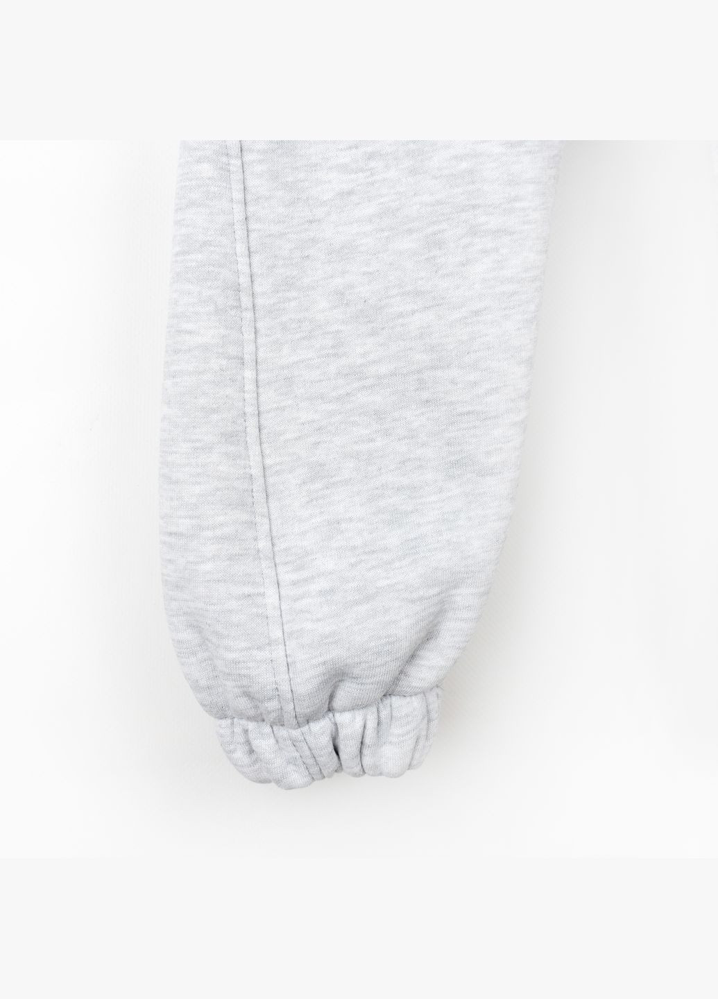 Детский теплый костюм Dexter`s на флисе melange dexter's (304547892)