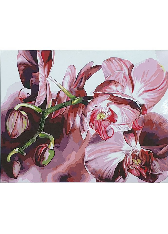 Картина за номерами для дорослих Неймовірні квіти акрилова для творчості см Strateg (362437334)