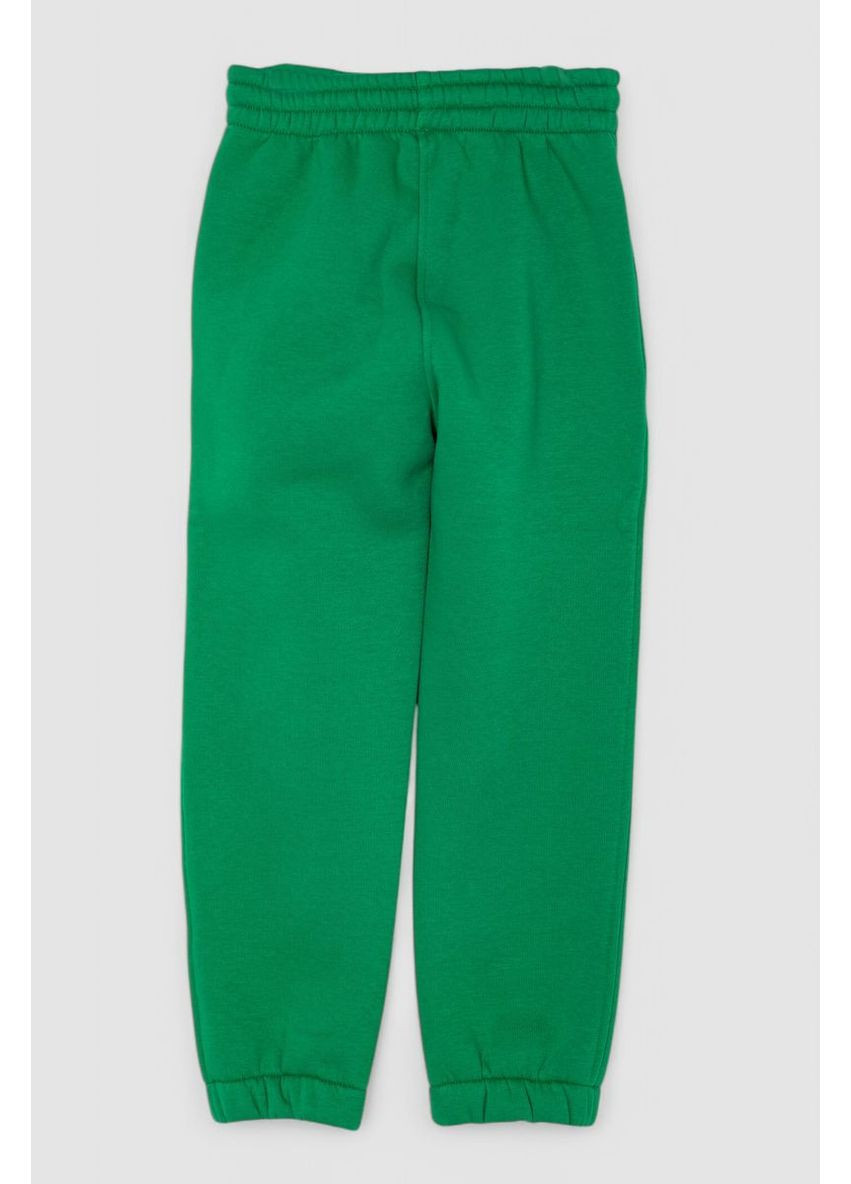 Спортивний костюм дитячий на флісі, 102R1520 Ager (366971888)