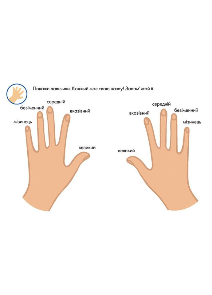 Багаторазові прописи "Тренажер для рук" 1155004, 31 картка No Brand (330609500)