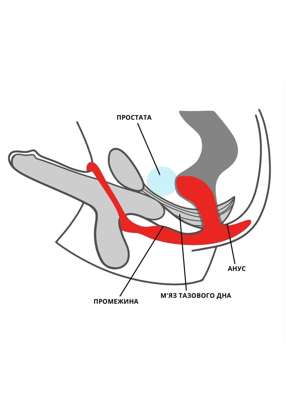 Анальна пробка з ерекційним кільцем BOOTIE RING slate Fun Factory (314808145)