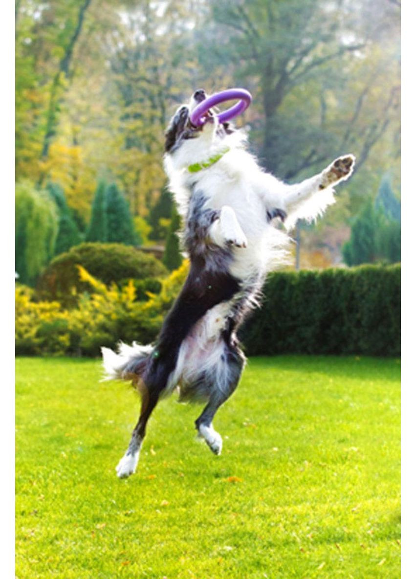 Тренувальний снаряд для собак PULLER 19.5 см Collar (362136126)