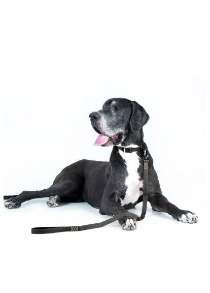 Повідець для собак (42131) Evolutor 300 см 25 мм чорний (366489304)