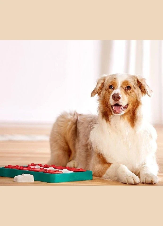 Интерактивная игрушка головоломка для лакомства для собак Dog Brick (Нина Оттоссон Дог Брик) Nina Ottosson (297511744)