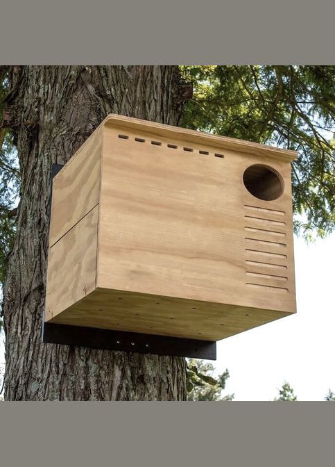 Домик для совы из дерева Ирлотта бланже (ДСО-001801) No Brand (328605781)