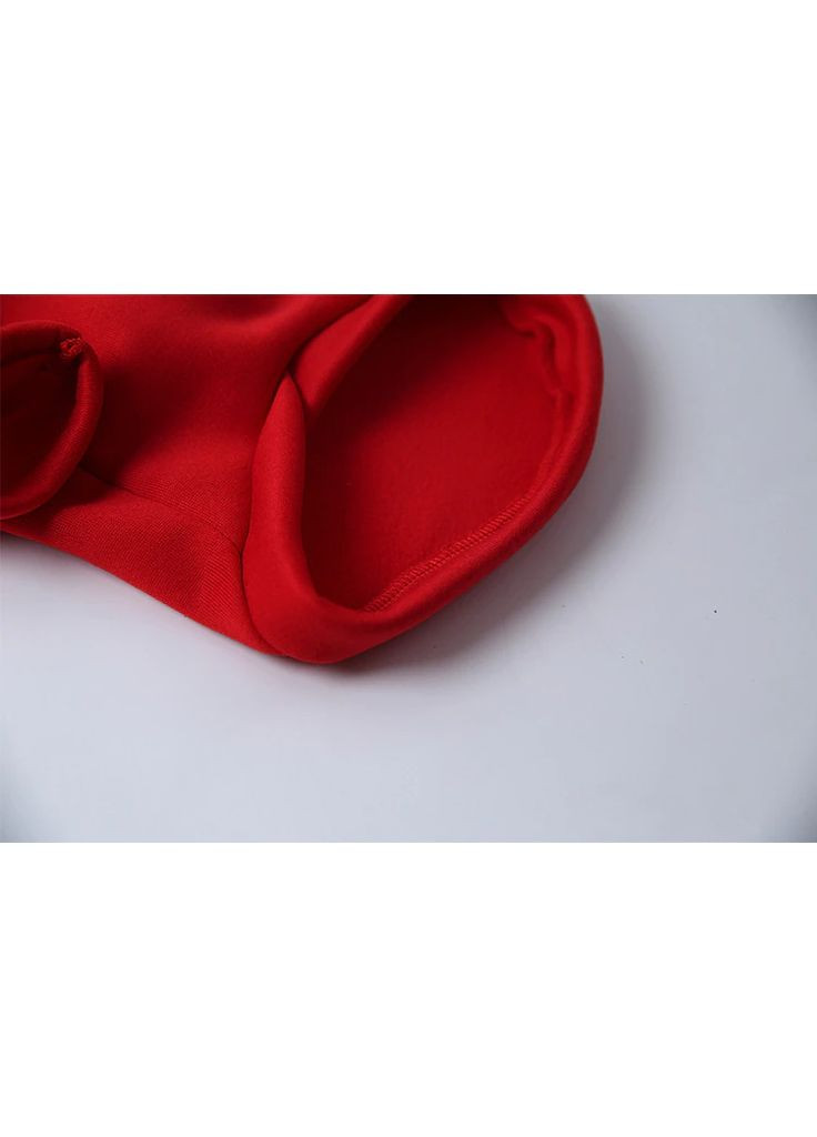 Кофта для собак с капишоном No Brand (362571922)