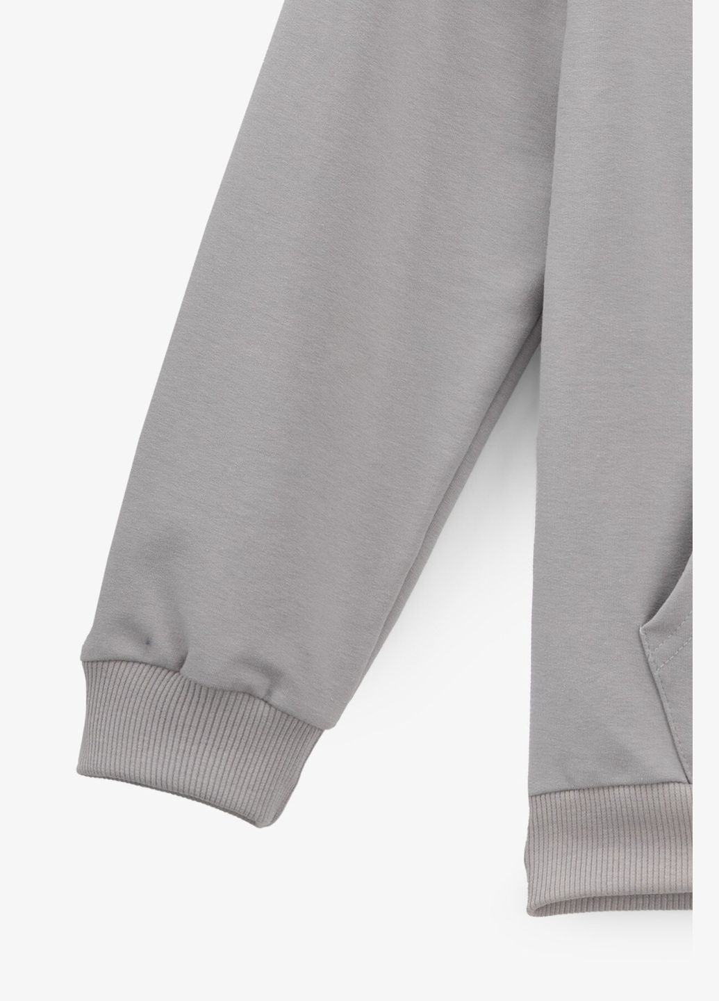 Худі з принтом для хлопчика 325447 134 см shop (2000990809520) ALG (361499470)