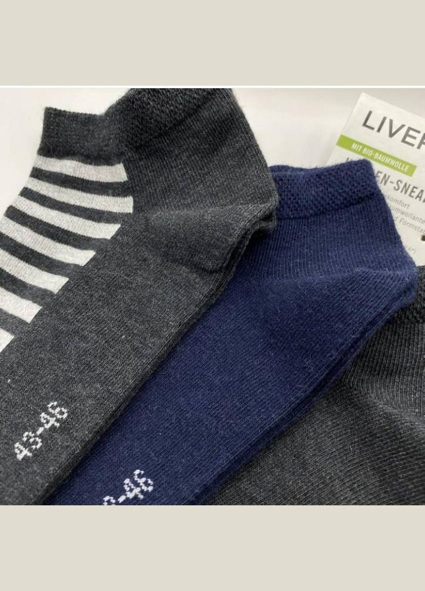 Сірі набір чоловічих шкарпеток 5 пар Livergy однотонні (343051516)