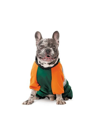 Дождевик Marlie для собак ML Pet Fashion (332983328)