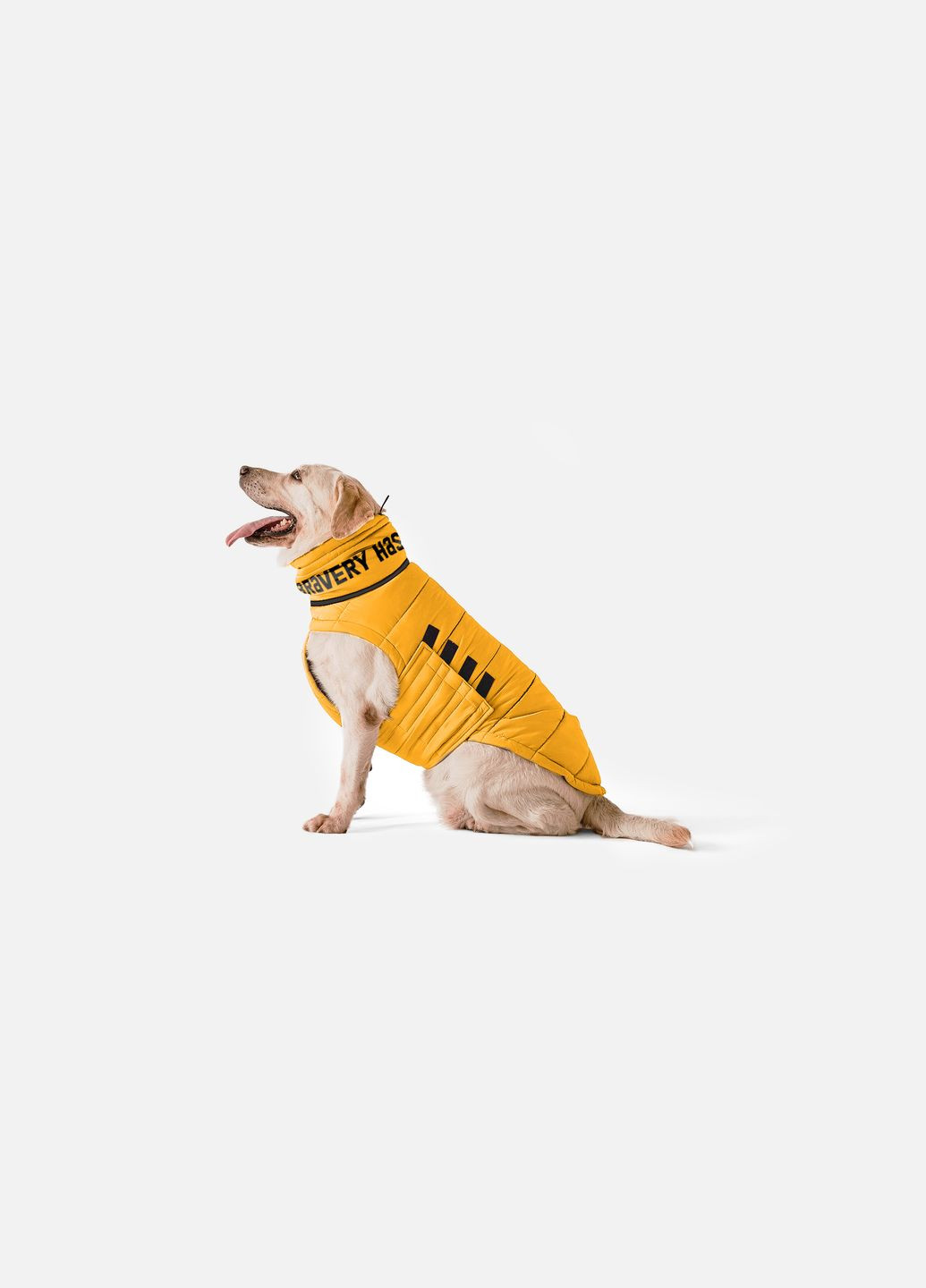 Пуховик Bobby Yellow B4130/ (B4130/2XL) Noble Pet (363057829)