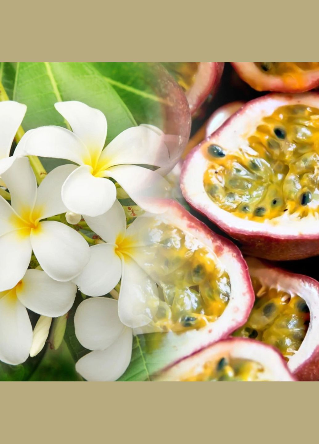 Аромадифузор для дому Monoi & Passion Fruit (Моной і маракуйя), 100 мл Collines de Provence (370161970)