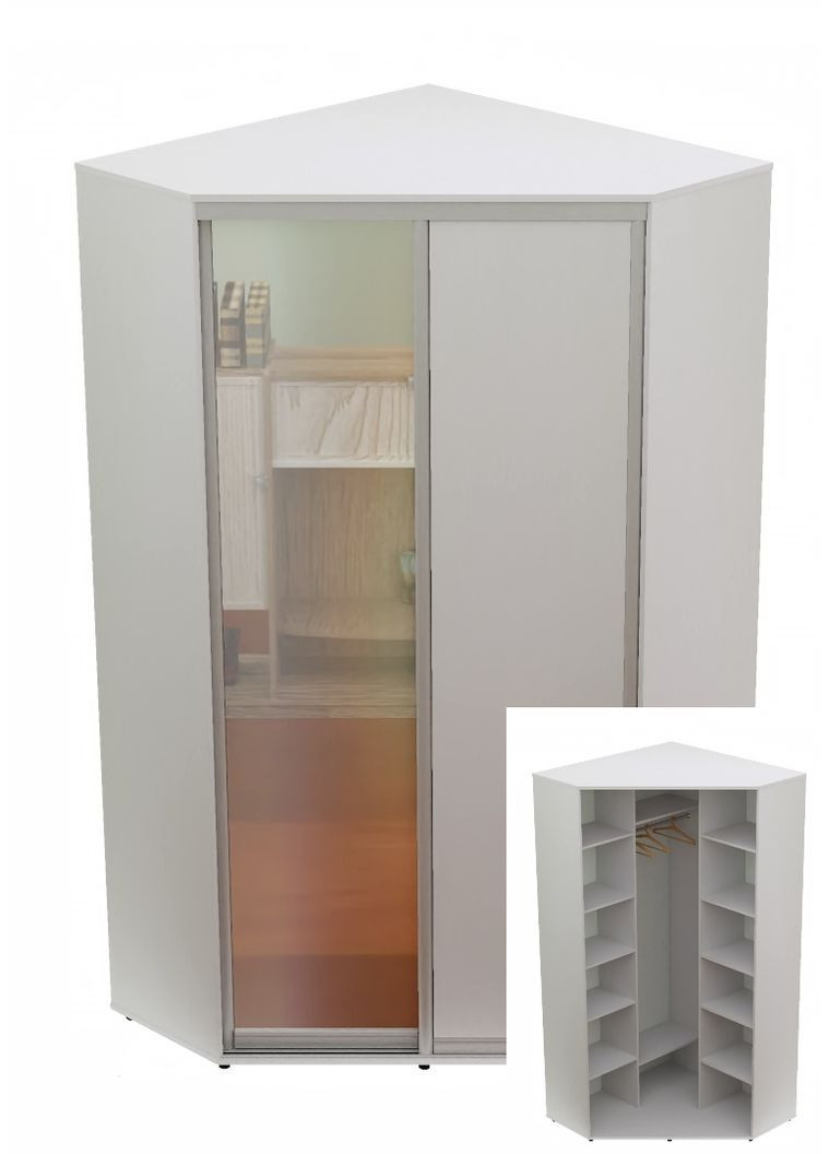 Шафа-купе дводверна 100*100*220 см Білий ДСП + Дзеркало Кут-1 Алекса (360441929)