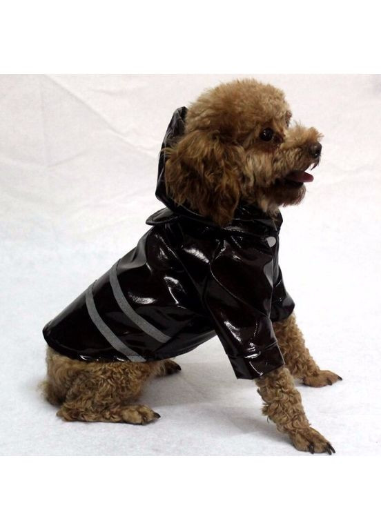 Дощовик для собак (розмір S) No Brand (368710429)