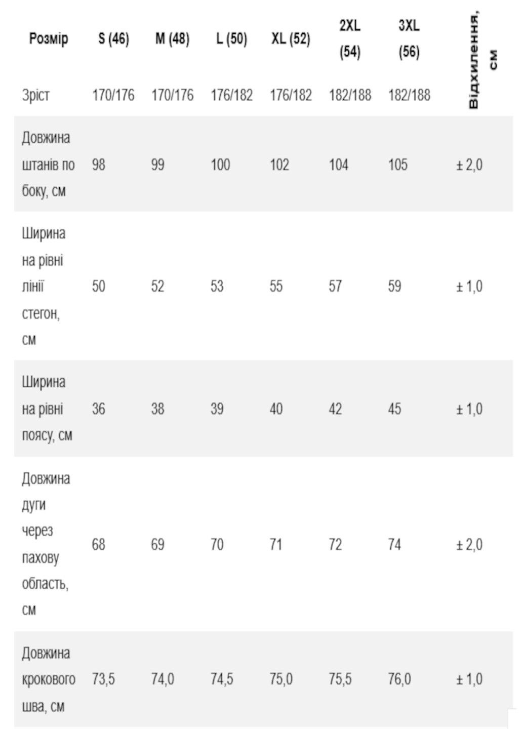 Штани спортивні чоловічі Роза (327223648)